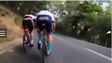 موقف طريف.. نقل 4 رياضيين للمستشفى بسبب قطة