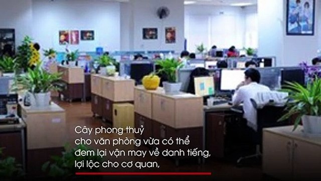 6 nguyên tắc phong thuỷ trong thiết kế và sắp đặt văn phòng giúp thăng quan tiến chức, tài lộc vượng vận