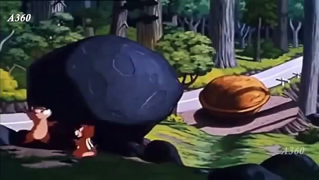 Chip And Dale & Donald Duck's All In a Nutshell | Disney Best Cartoon Episodes for Kids