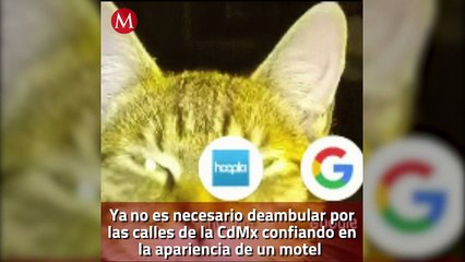 ¿Es tu primera vez en un motel? Esto debes saber