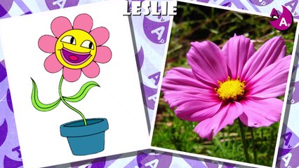 LE MONDE INCROYABLE DE GUMBALL DANS LA VIE RÉELLE (LE MONDE INCROYABLE DE GUMBALL SÉRIE D'ANIMATION)