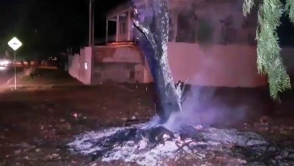 Download Video: Incêndio em árvore mobiliza Corpo de Bombeiros