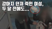 [자막뉴스] 강아지 던져 죽인 여성, 두 달 전에도... / YTN