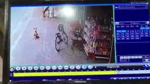Dogs Caught On CCTV Stealing Crisps From Shop