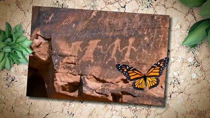 Sign Makers for Custom Made Signage