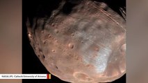 Martian Moon Phobos Contains Chunks Of Red Planet's Crust: Study