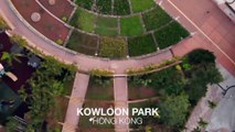 Kowloon Park - Tsim Tsa Tsui - February 2019
