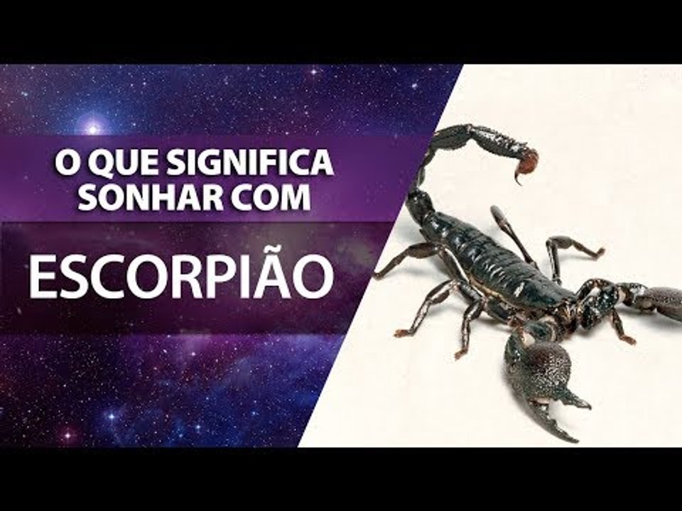 O que significa sonhar com escorpião? | João Bidu