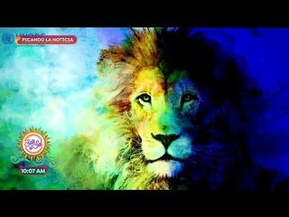 Picando la Noticia: cambia vidas a los niños con sus ilustraciones | Sale el Sol