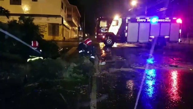 Árvore cai e deixa a Rua Pio XII interditada