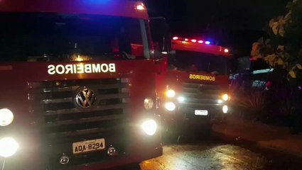 Árvore cai e dificulta acesso a residência no Parque São Paulo