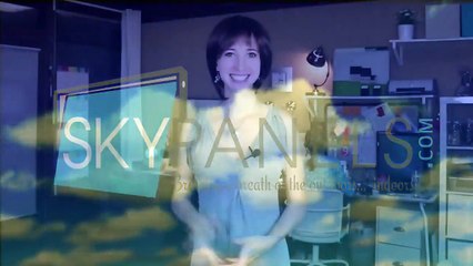 What Can USA Skypanels Do For Your Work Environment_