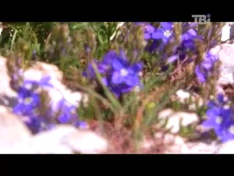 Seven natural wonders of Ukraine