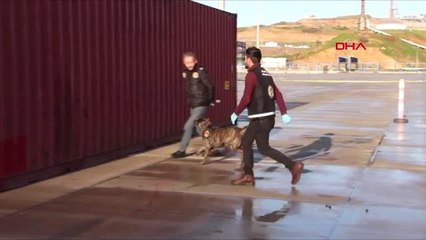 İzmir'de 500 Bin Paket Kaçak Sigara Ele Geçirildi