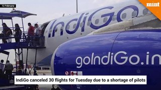 IndiGo cancels 30 flights due to shortage of pilots