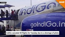 IndiGo cancels 30 flights due to shortage of pilots