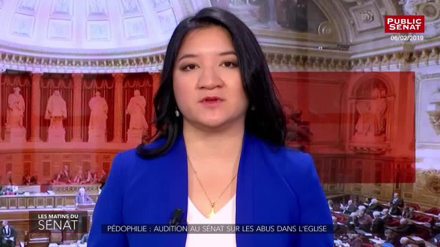 Audition de Stéphane Joulain, Pierre Vignon, Véronique Magron, Catherine Bonnet et Isabelle Gaulmyn - Les matins du Sénat (12/02/2019)