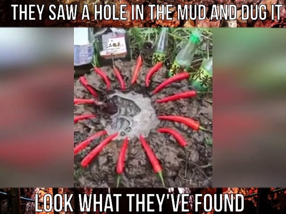 Hole in the mud