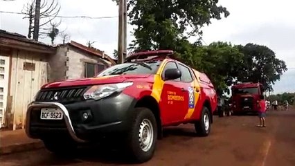 Bombeiros realizam corte de pinheiro que atingiu casas no Melissa