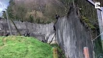 Des singes s'évadent de leur enclos dans un zoo d'une façon géniale