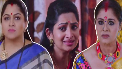 Lakshmi Stores Serial Episode: லட்சுமி ஸ்டோர்ஸ் இன்று-நேற்றைய எபிசோட்- வீடியோ