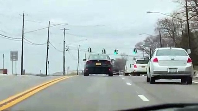 Quelle fenêtre choisir ? Ce chien ne sait pas se décider !