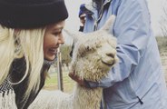 Hilary Duff adopts baby Alpaca