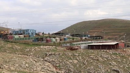 Mardin'de 6 Bin Sokak Hayvanı Tedavi Edildi