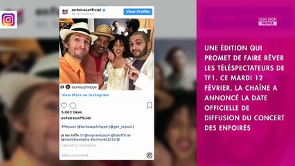 Les Enfoirés 2019 : leur concert sera diffusé en mars sur TF1