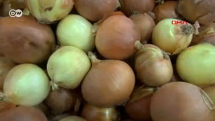 İran'dan ithal soğan
