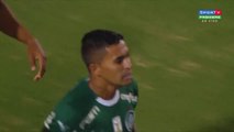 Palmeiras x Bragantino (Campeonato Paulista 2019 6ª rodada) 1º tempo
