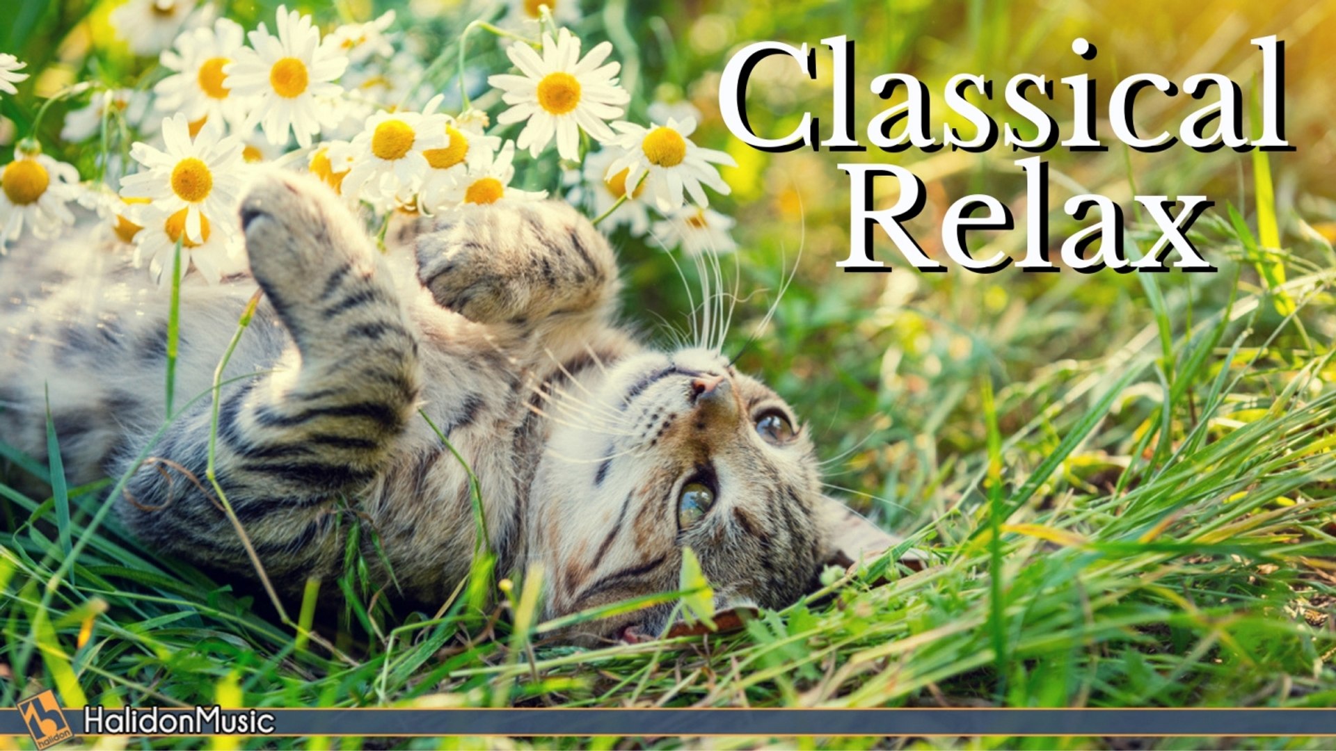 Various Artists - Classical Music for Relaxation