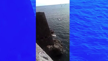Un homme saute de 20 mètres et se rate !