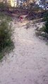 Girl on Snowboard Face-Plants into Sand