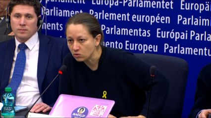 Conferència de premsa de polítics europeus contra el judici