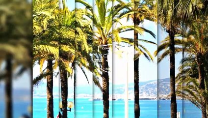 Location vacances - Appartement - Cannes (06400) - 2 pièces - 54m²