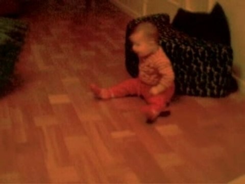 Olivilma 0806 zivojno