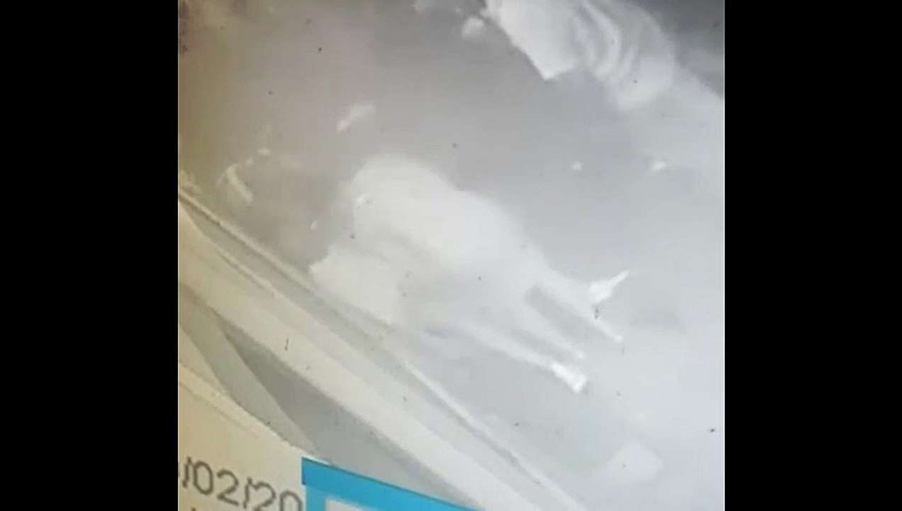 Caso Sargento Julio Ángel Díaz Guzmán