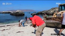 [이 시각 세계] 칠레 유명 해변서 오징어 떼죽음