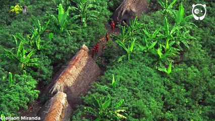 How The Next Brazilian President Might Destroy Isolated Amazon Tribes