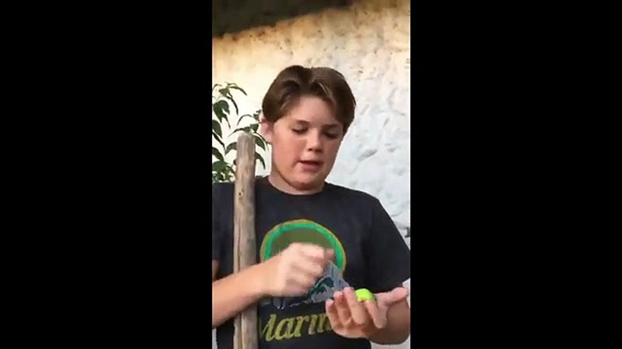 Un enfant enterre un oiseau... mais son chien attrape l'oiseau mort pour le manger !