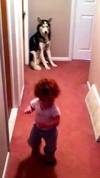 Toddler Terrified of Vacuum Runs to Dog for Protection