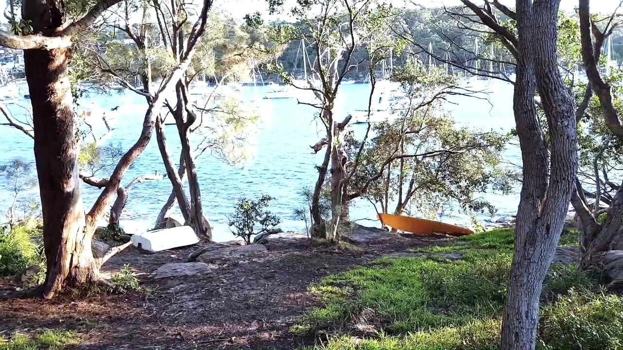 Manly Beach Here - Mingle Films Voyages