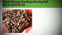 PALING MURAH!!! 0813-5303-8159, Supplier Bunga Kamboja Kering Karanganyar