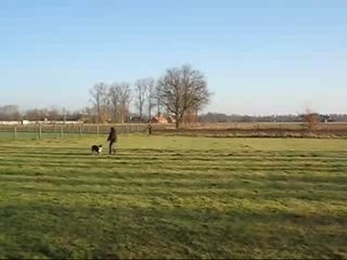 Gentle Gypsy, The Gyp, Bisthof 06.01.2008