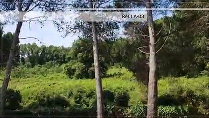 A louer - Appartement - Ghisonaccia (20240) - 3 pièces - 52m²