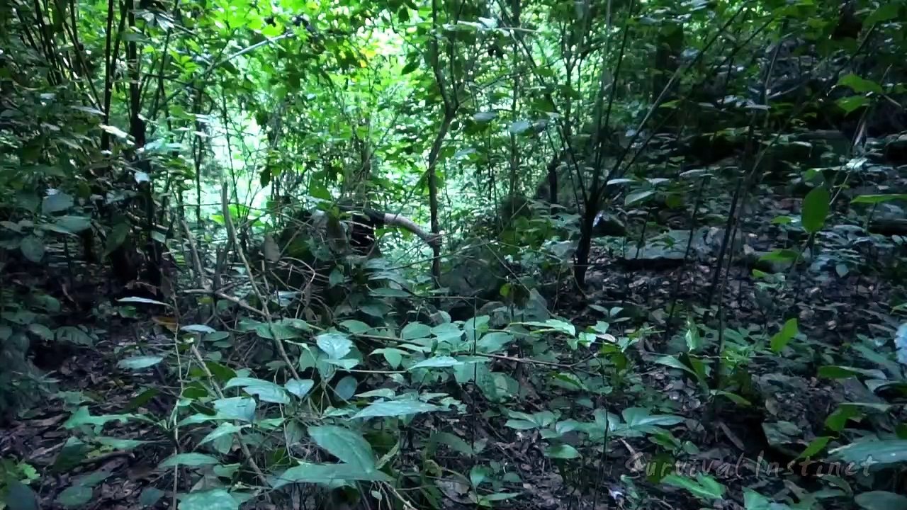 Survival Instinct - Making sandals from lianas