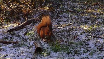 BBC Winterwatch 2019 1of4