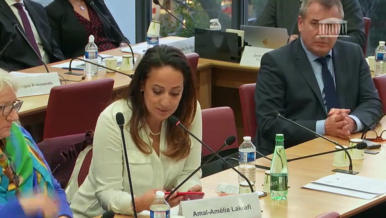 Commission des Affaires étrangères : Mme Nathalie Loiseau, ministre chargée des Affaires européennes - Mardi 12 février 2019