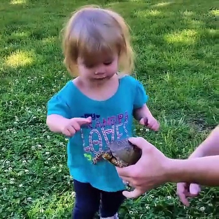 Funny video of babies playing with pets on ground of house.awesome